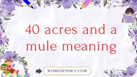 40 acres and a mule meaning
