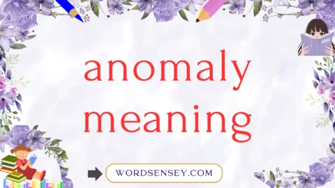 anomaly meaning
