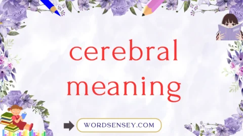 cerebral meaning