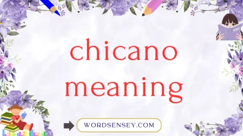 chicano meaning