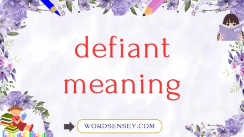 defiant meaning