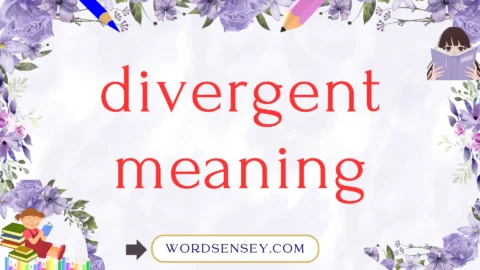 divergent meaning