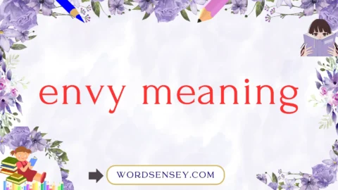 envy meaning