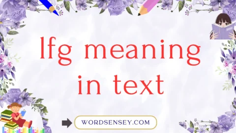 lfg meaning in text