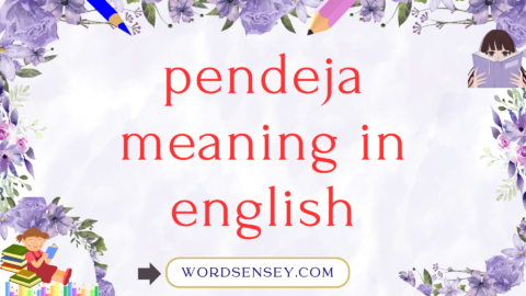 pendeja meaning in english