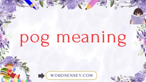pog meaning