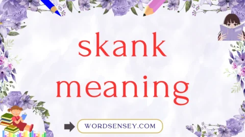 skank meaning