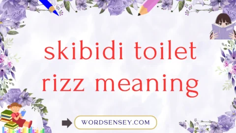 skibidi toilet rizz meaning