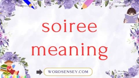 soiree meaning