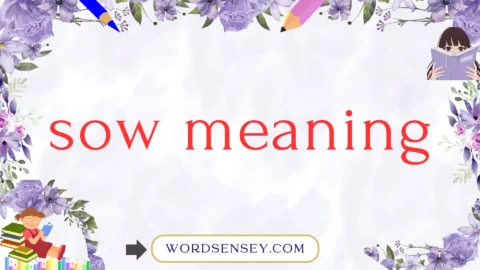 sow meaning