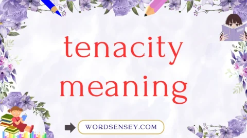 tenacity meaning
