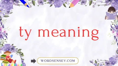 ty meaning