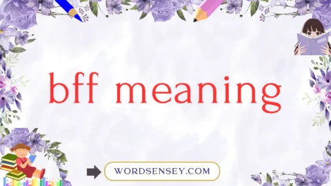 bff meaning