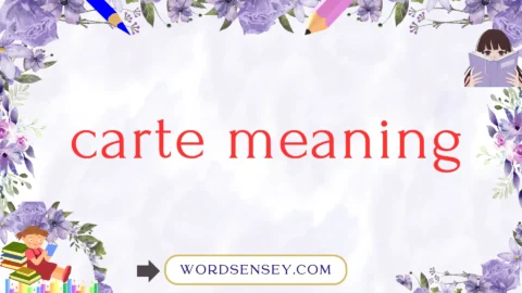 carte meaning