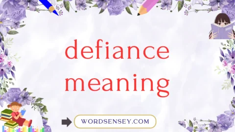 defiance meaning