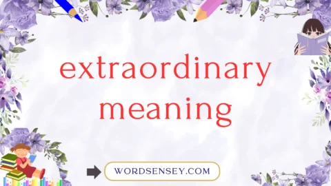extraordinary meaning