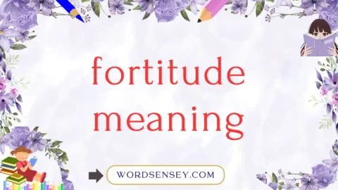 fortitude meaning