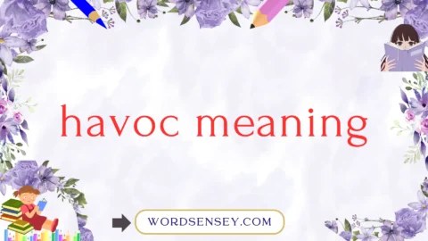 havoc meaning