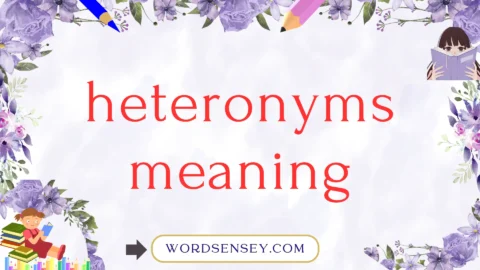heteronyms meaning