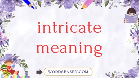 intricate meaning