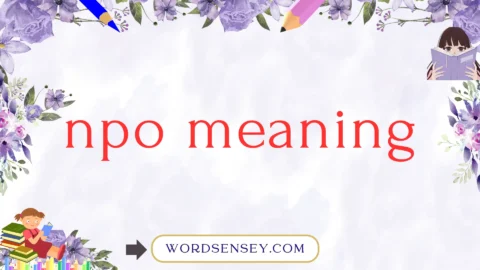 npo meaning