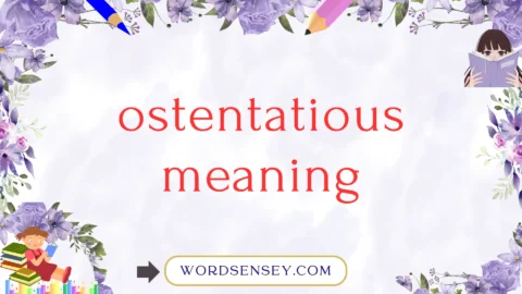 ostentatious meaning