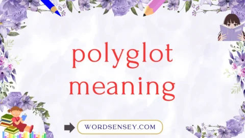 polyglot meaning
