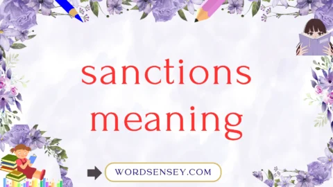 sanctions meaning