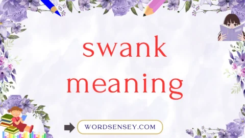 swank meaning