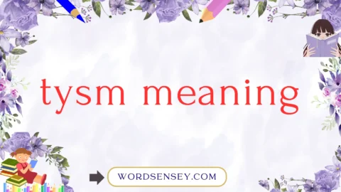 tysm meaning