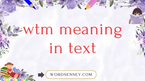 wtm meaning in text