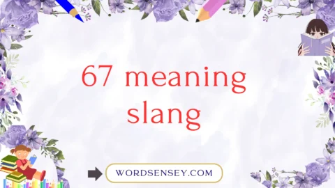 67 meaning slang