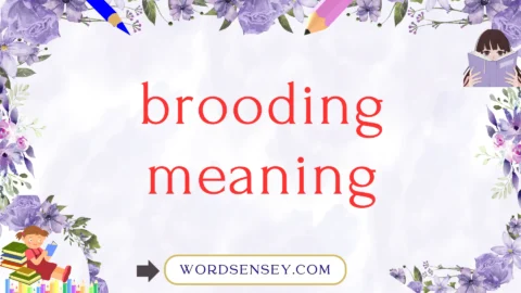 brooding meaning
