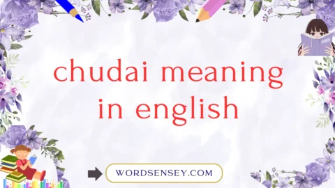 chudai meaning in english