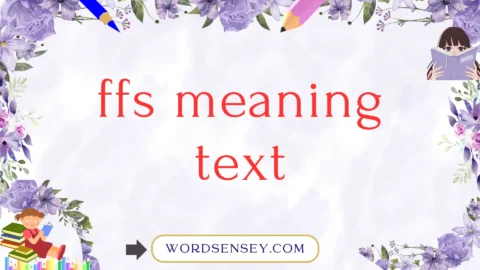 ffs meaning text