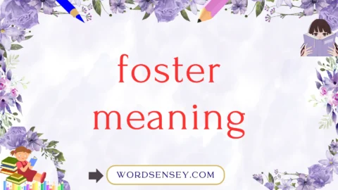 foster meaning