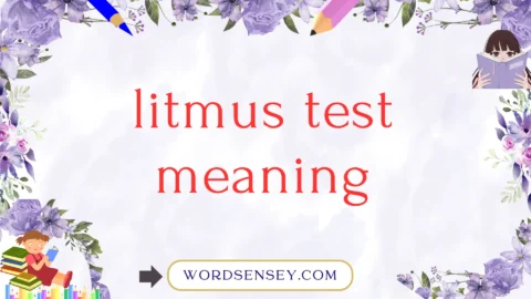 litmus test meaning
