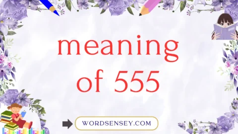 meaning of 555