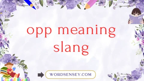 opp meaning slang
