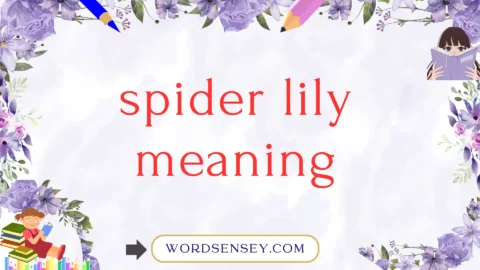 spider lily meaning
