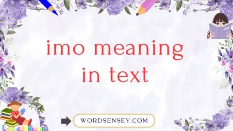 imo meaning in text