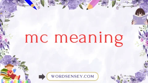 mc meaning