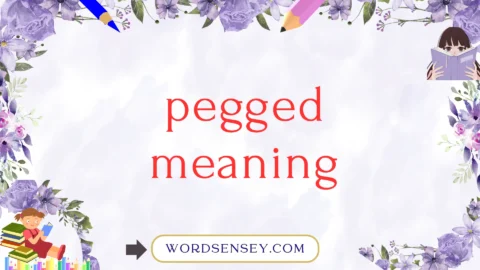 pegged meaning