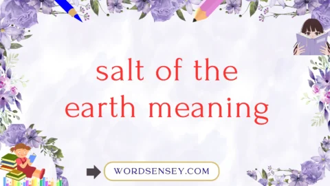 salt of the earth meaning