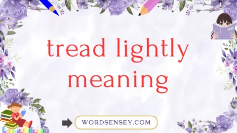 tread lightly meaning