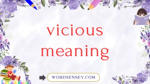 vicious meaning