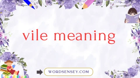 vile meaning