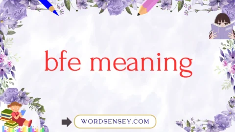 bfe meaning