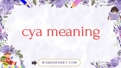 cya meaning