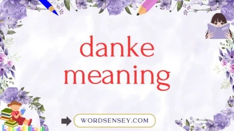 danke meaning